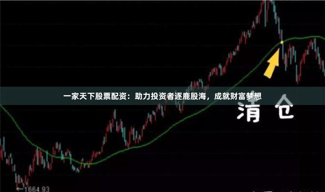 一家天下股票配资：助力投资者逐鹿股海，成就财富梦想